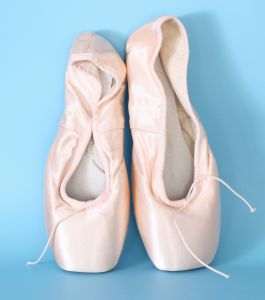 Bloch Pointe Shoes